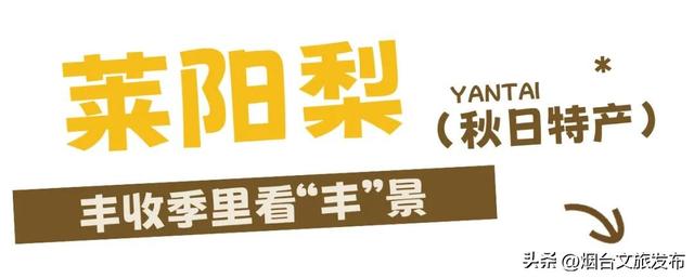 【乐游烟台】丰收季，烟台秋日采摘全攻略来啦！