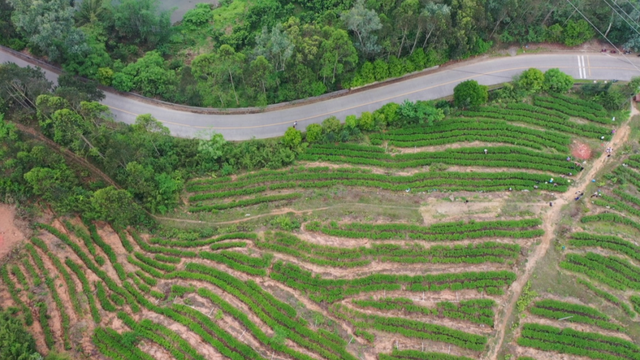 值得一去！肇庆这个民族乡，藏得太深了！