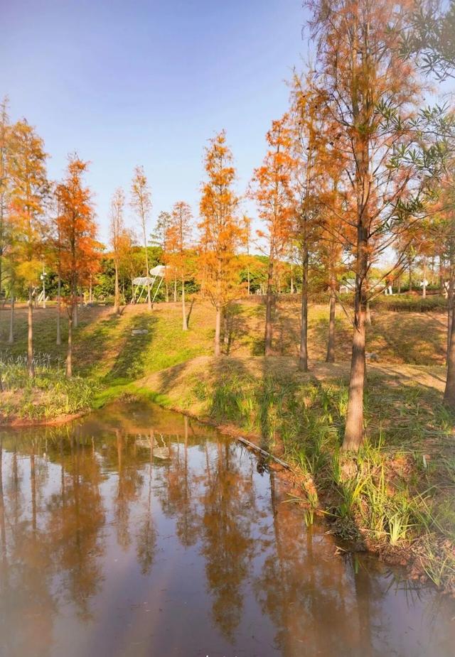 看！是金黄色的光明！