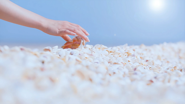 沿着黄河遇见海 | 沾化：河海相约处，邂逅一颗璀璨明珠