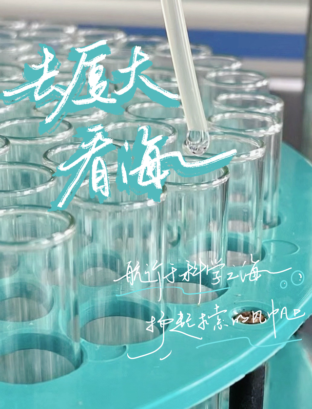 走！去厦大看海！