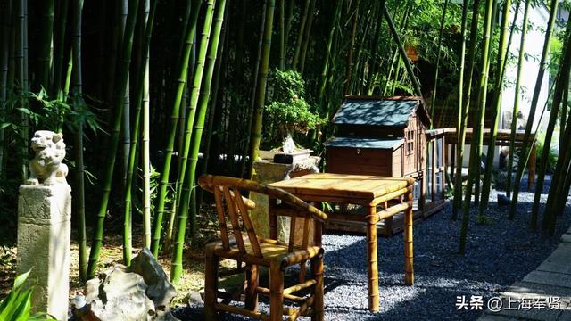 青溪“野生”推介官第5期｜这些小众景点也很出片！