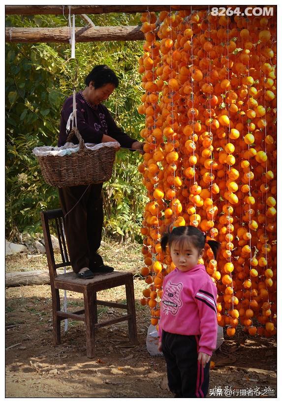 山东行游影记（194）—青州仰天山柿子沟（二）