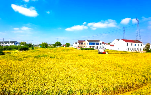 珠海在哪里可以寻找到秋天甚至赏秋？