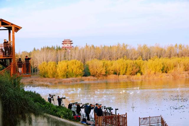 一湖初冬色，半城清欢美——三门峡苍龙湖的冬日盛景