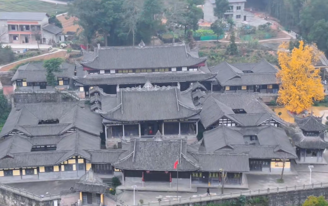 重庆低调的寺庙，有棵1200年银杏树，12月正是最佳观赏期