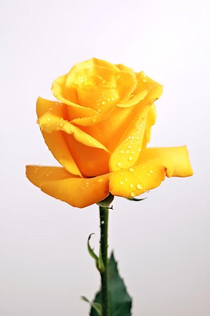 对老公寒心后，女人这么做，不离也能活得漂亮