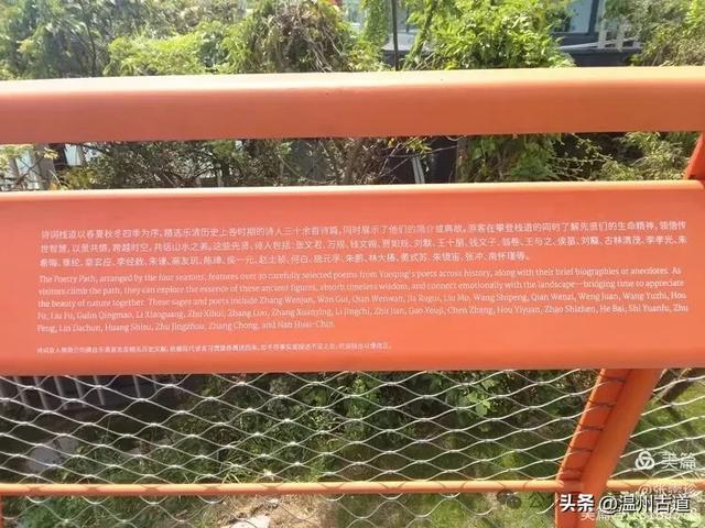 从最美公园到网红观景台，温州这两个火爆朋友圈的打卡点你可去过