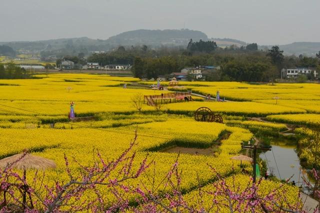99年网吧通宵，邻座的女孩靠我肩上睡着了，呼吸都喷在我脖子上