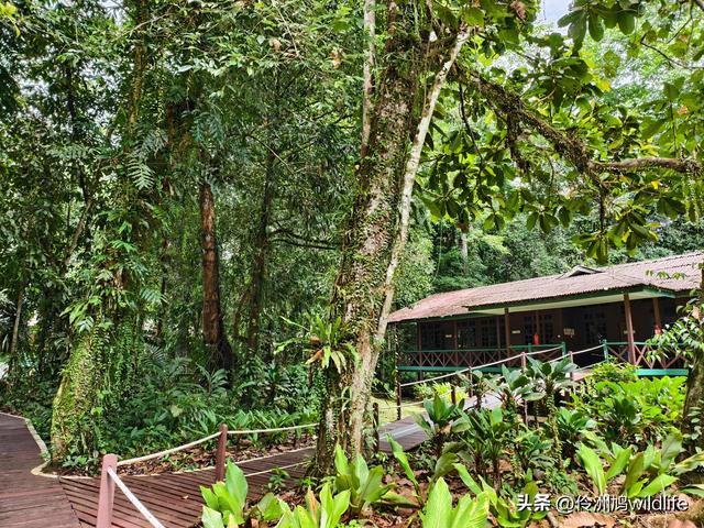 马来西亚(29)砂拉越州③姆鲁山清水洞·风洞