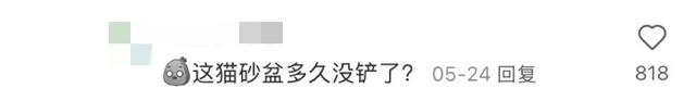 出国旅游鄙视链顶端:敢去非洲的人