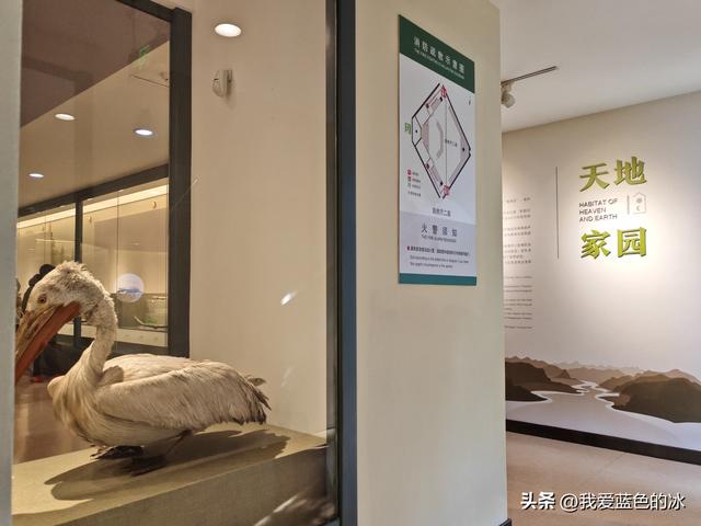 参观南通的中国第一座公共博物馆——南通博物苑，距今120年