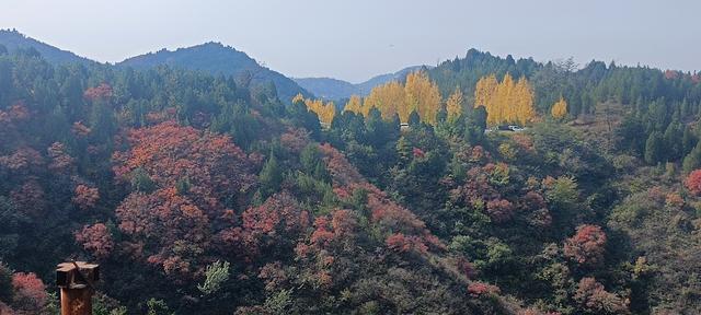 骊山红叶似火 车辆行人如织
