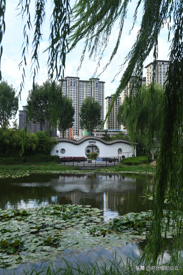 五一桥公园：藏在城市里的江南梦境