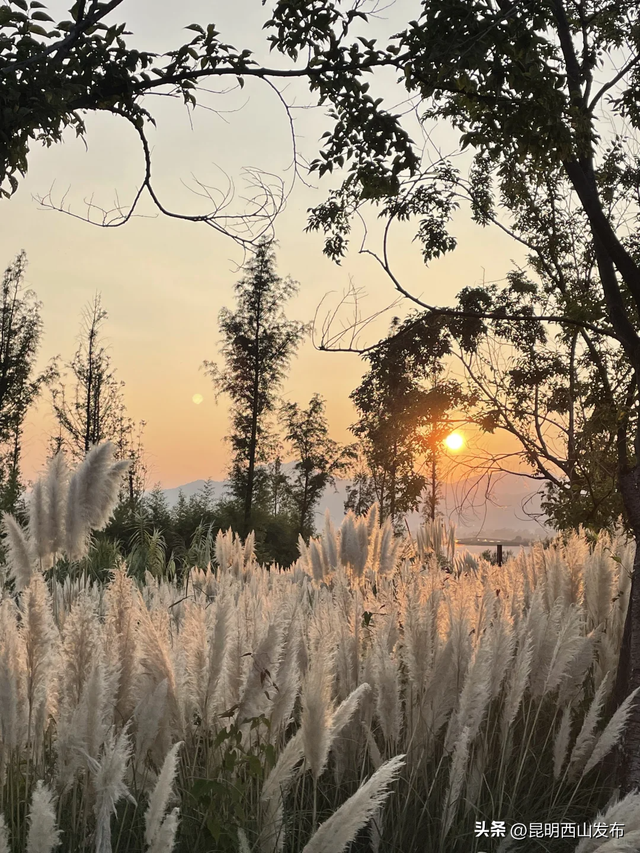 @外地人，不用找了！来昆明旅居锁死西山这三大片区