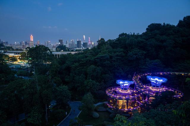 广州亲子研学，夜游植物园，走进大自然的夜课堂