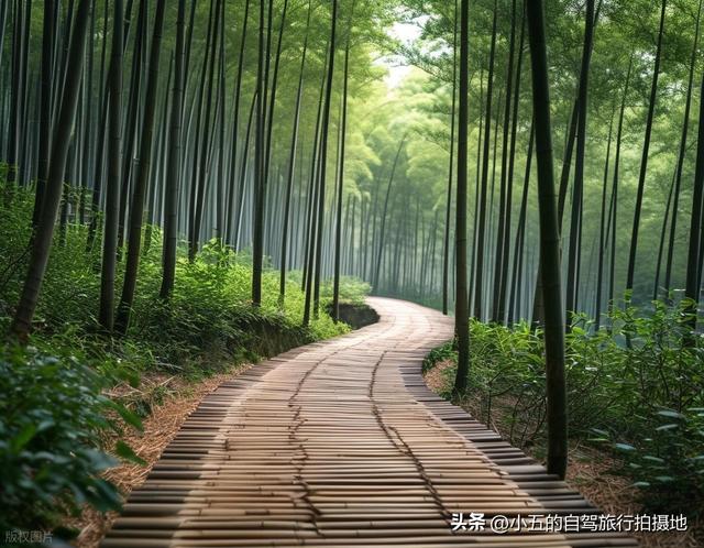 暑假热推！5个小众的避暑城市！