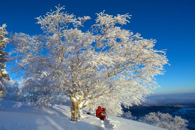 徒步踏雪去!沉浸式打卡龙江冬日奇观