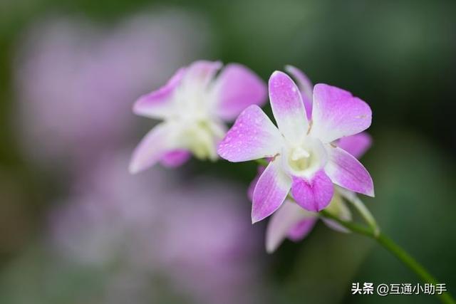 选索尼还是适马？E卡口大光圈长焦变焦镜头巅峰对决！