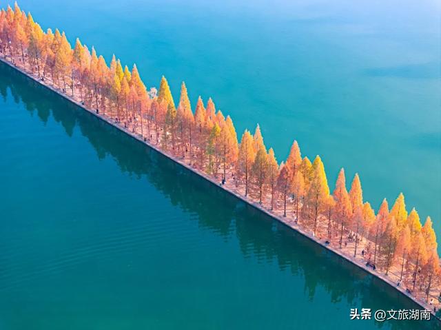 限时绝美！长沙初冬“顶流”上线