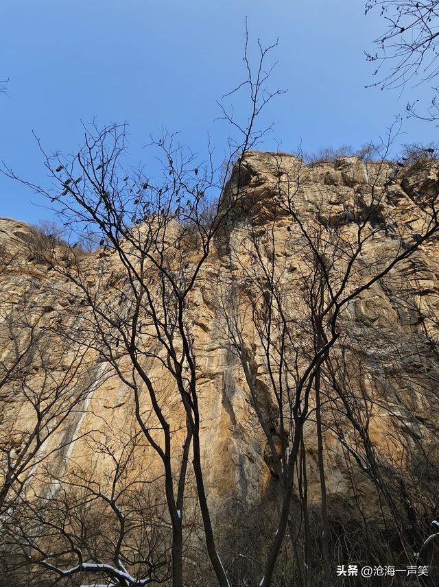 冬季大山的美，白雪皑皑，微风徐徐，树枝婆娑，人影攒动……