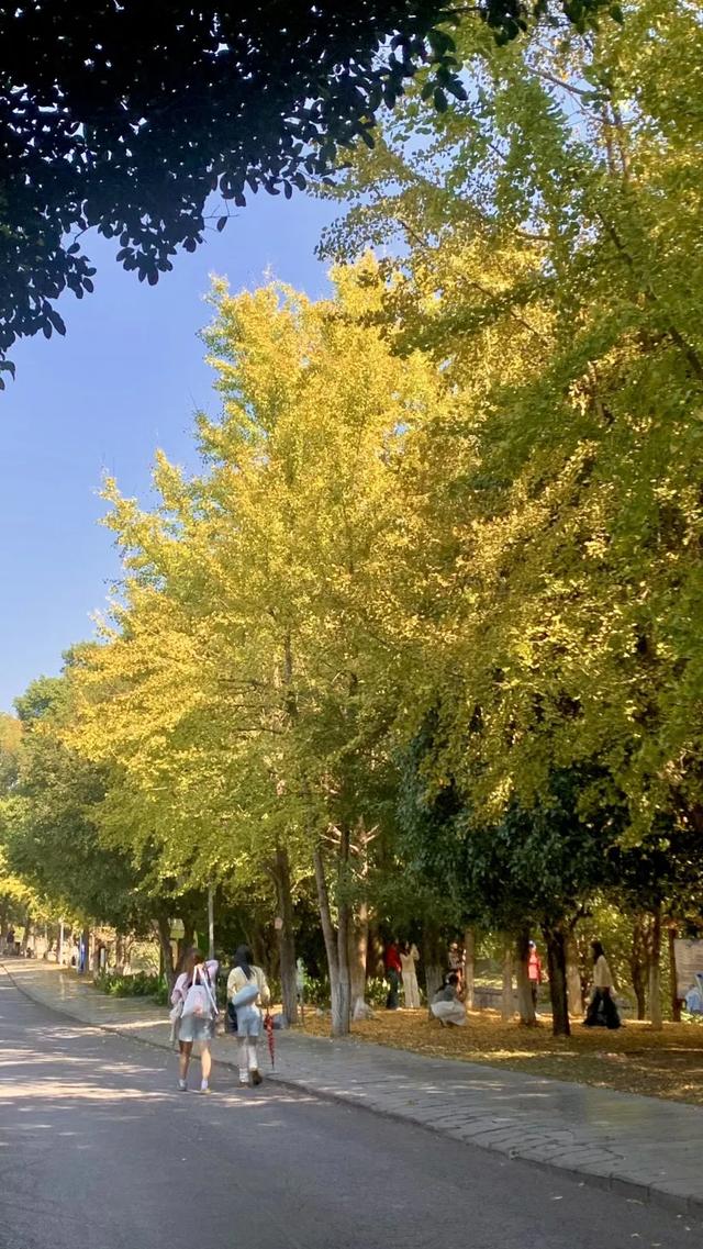 封神级美景！初冬的桂林，宛如上帝打翻的调色盘