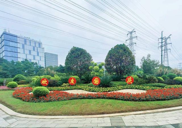 合肥街头“变装”发现了没？国庆假期一起逛花境吧！