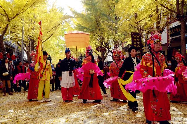 【图看黄金大道】金色长廊映秦州，天水“黄金大道”引客来！