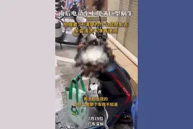 雨后电动车上爬满巨型蜗牛 网友：这个蜗牛真贱，自己没车吗？图片