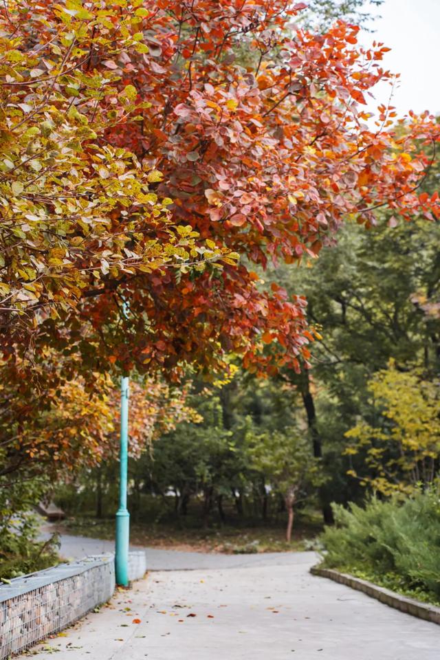 收藏一个秋天,石景山绝美秋色大公开