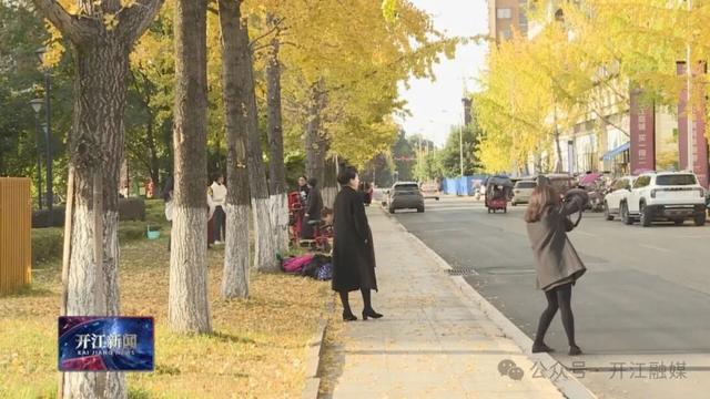 达州开江这里的银杏，太出片了！