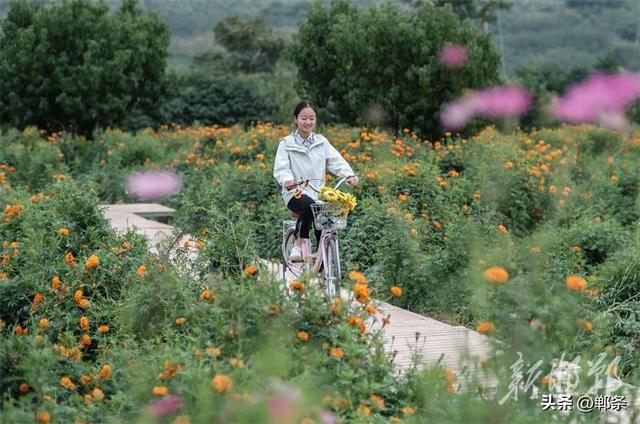 向阳花开，相约复兴