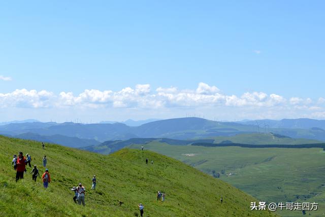 河北麻田岭（上）：绿野铺毡接云影、风轮伴路探山魂