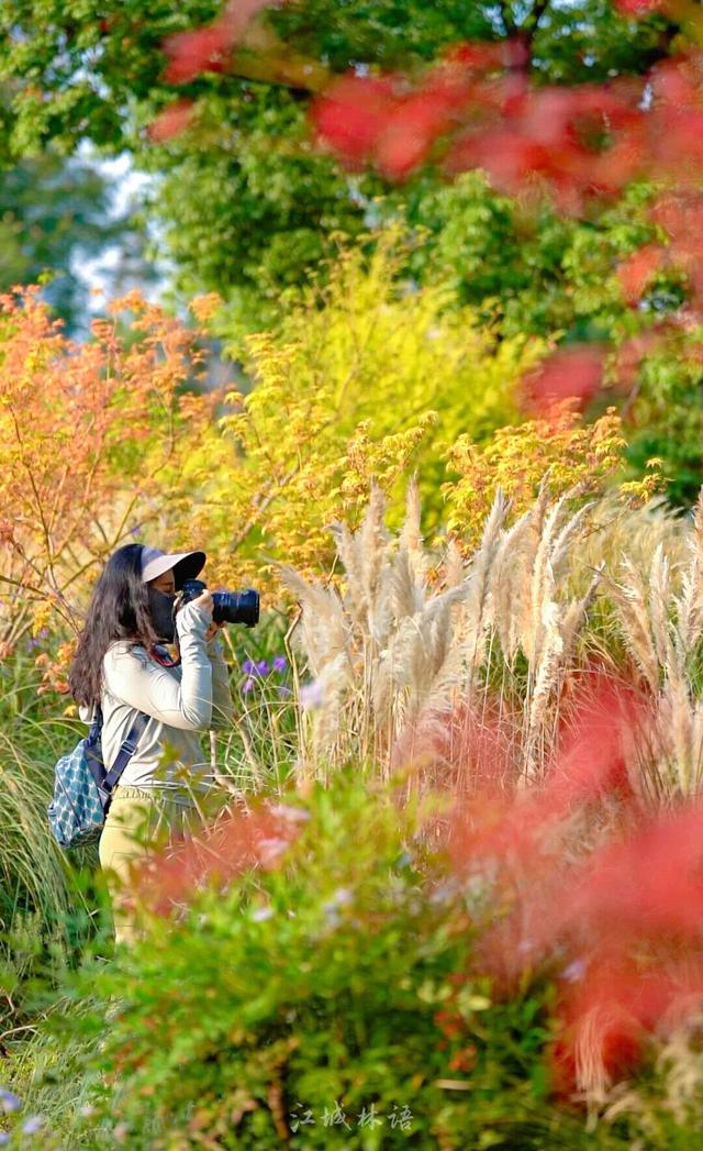 来汉口 逛江汉 解锁四季常新的江汉之美
