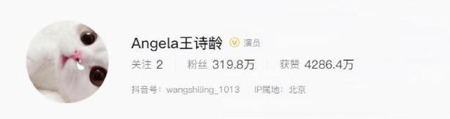 释永信被查第8天，恶心一幕出现，王诗龄受牵连，评论区不堪入目