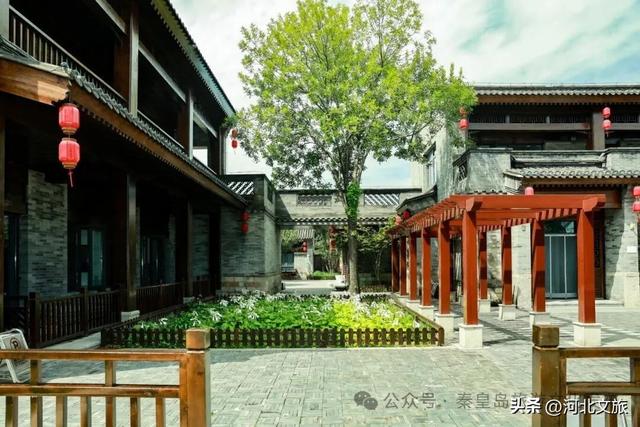 免费！秦皇岛这个特色小镇开园啦，美似江南，夜景迷人！