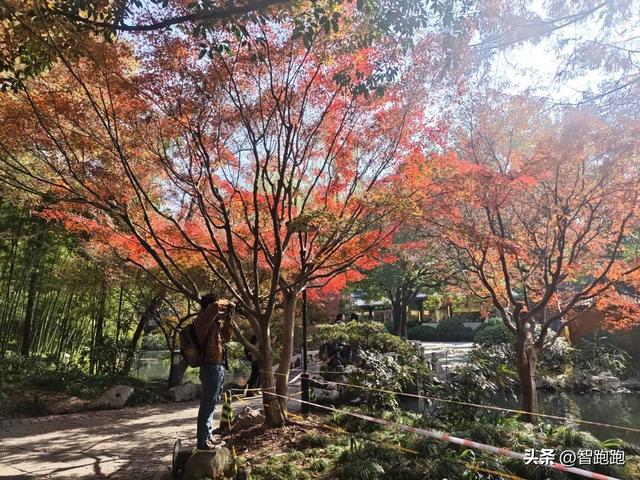 2025 杭州西湖 City Walk 留下足迹