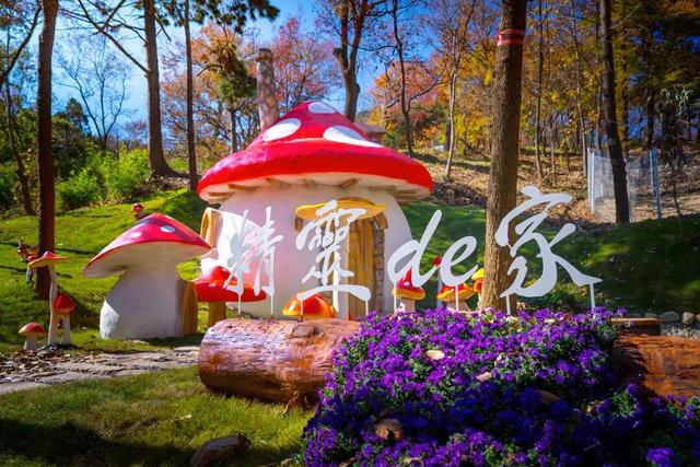 别再问周末去哪玩了！来蒙山承包你的快乐时光！