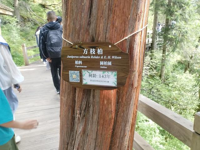 黄龙、九寨、都江堰随记Day2