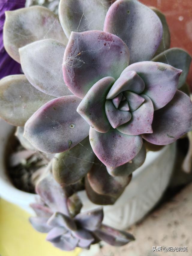 今天读了一篇文章，我终于知道钱是怎么来的。