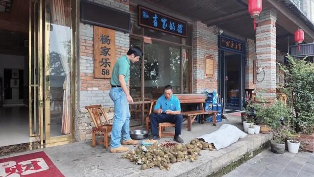 沿着高速看湖北｜高速叩开山门 麻城龟峰山从“一季花”到“四季游”