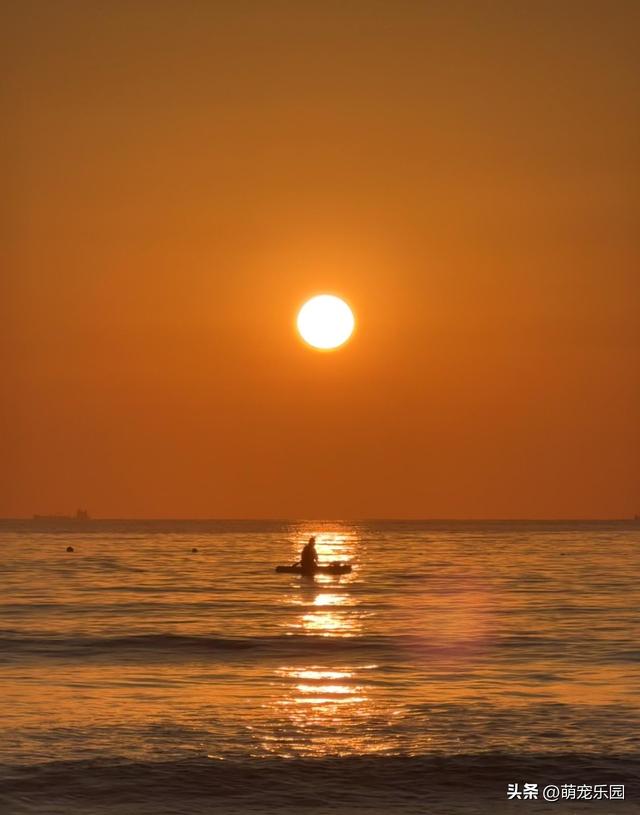 清晨闹钟响了别赖床，东沙海滨日出震撼，大青山露营太治愈