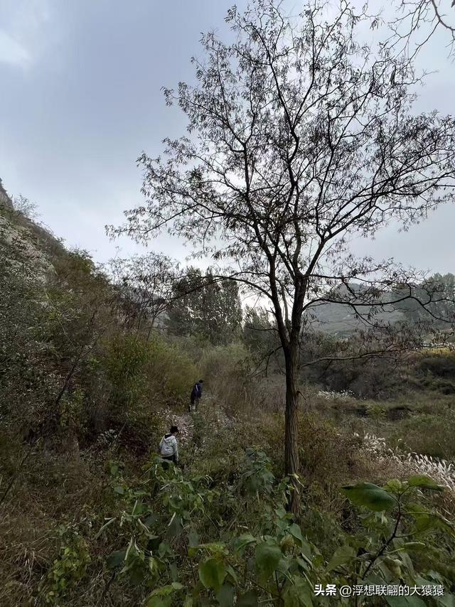 老姑峪的大寨没寻着，误打误撞跑去了张家台的麒麟寨（莱芜游）