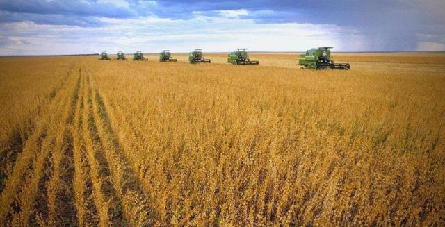 巴西大豆涨价致中国停 180 万吨订单！3 天后巴对华无纺布反倾销，背后藏大豆依赖困局