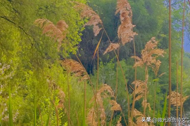 那些说走就走的旅行，悦了容颜，悦了心扉。
