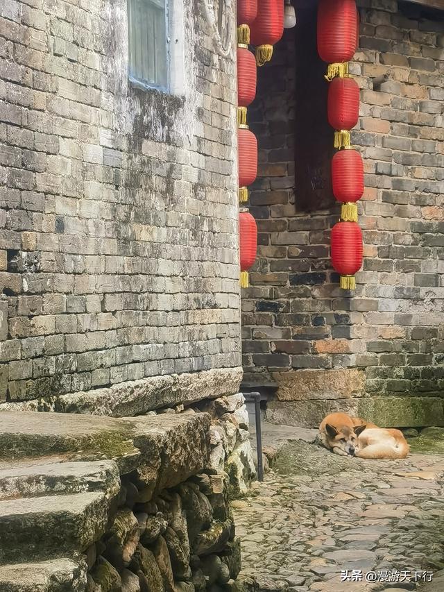 武义郭洞号称江南第一风水村，连坞茶山犹如地球指纹