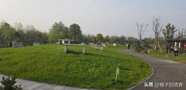 重磅！2026殡葬新规3月30日落地！这5大变化家家都要知道！