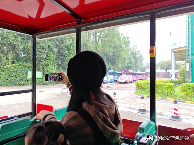 参观广州长隆野生动物园，全程感觉眼累手累腿不累