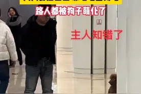 狗狗犯错，主人很生气在商场训狗子，狗狗委屈巴巴，靠墙笔直罚站图片