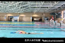 自由泳和蝶泳几个关键的分解游训练，必须掌握，是刚需！图片